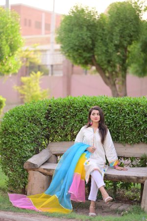 Alternative view of Chicken Kari 2-pc